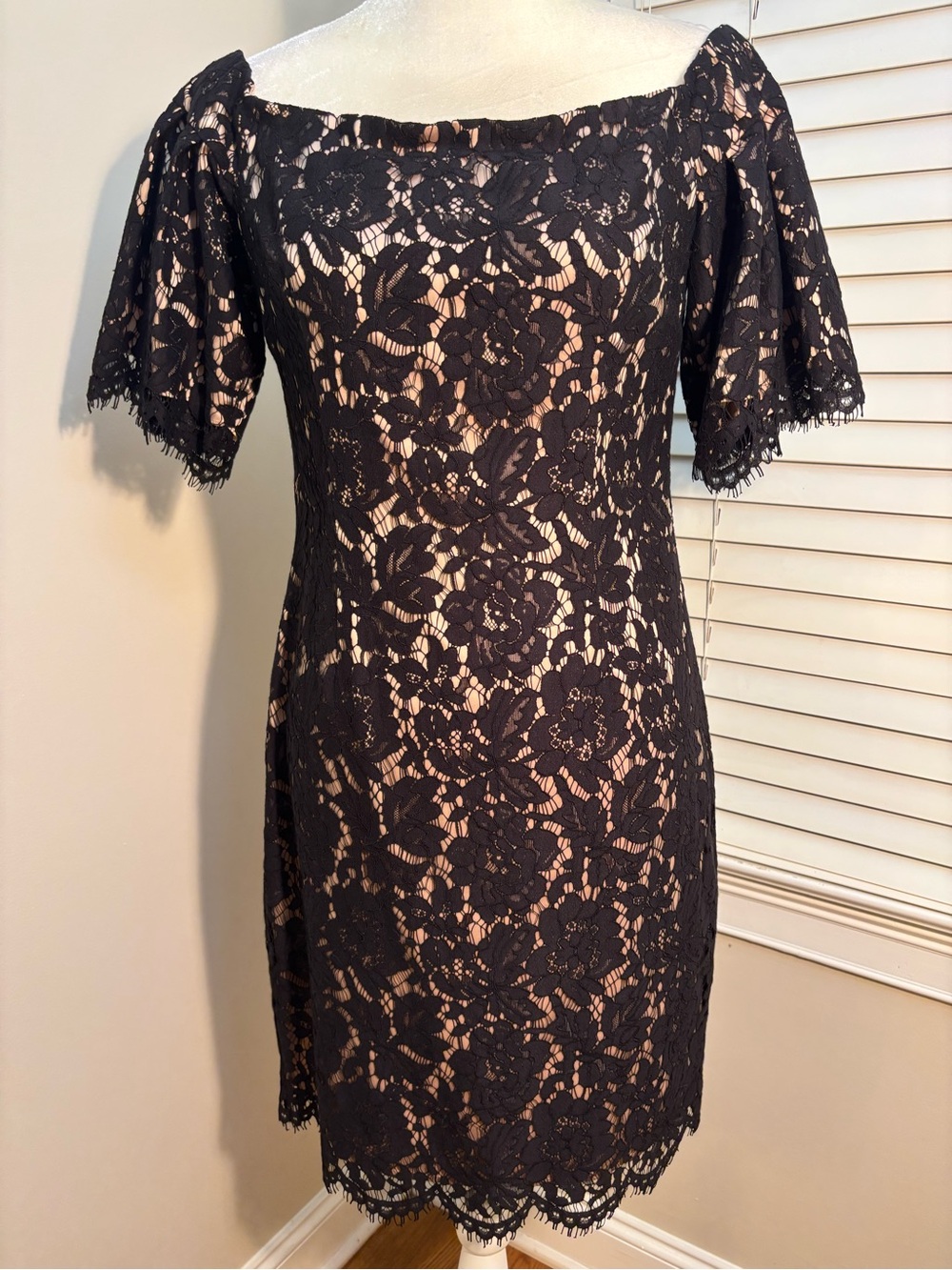 Eliza J Lace Nude Lining Cocktail Party Dress